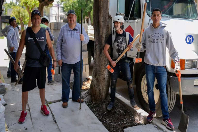 Campaña ciudadana en Fuengirola busca preservar árboles históricos