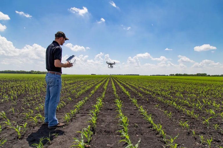 Nueva plataforma digital facilita empleos temporales en el sector agrícola